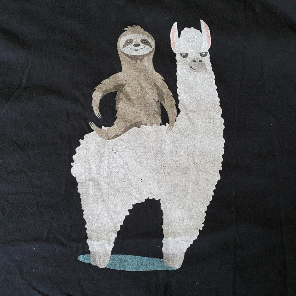 Llama Cartoon T-Shirt